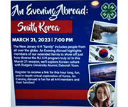 An Evening Abroad South-Korea